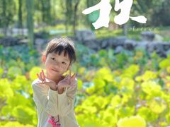 -河北省园博园