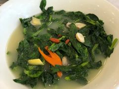 上汤豆苗-朱仔记食府(江南大道店)
