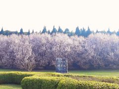 -秦始皇帝陵博物院-丽山园