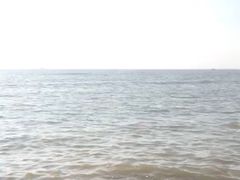 -海滨浴场