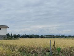 -桤木河湿地公园