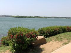 -丁香湖公园