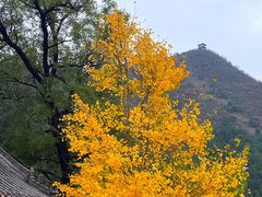 -潭柘寺景区