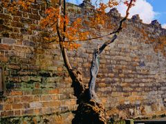 -昆明市金殿名胜区