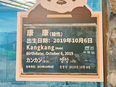 -上海野生动物园