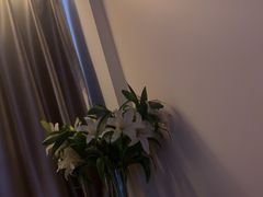 -良子足疗按摩