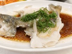 -金华安大酒楼·老牌潮菜·粤式茶点(东方国际店)