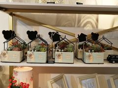 -花未央花店·WEYOUNG
