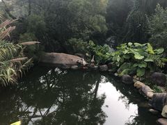 -厦门园林植物园-植物园滴水山房