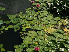 -长春市南湖公园