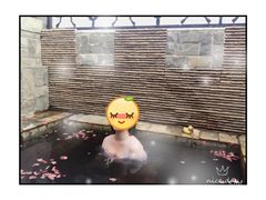-北京美神宫艺术主题温泉酒店