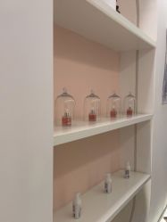 -苗方清颜痘肌研究所