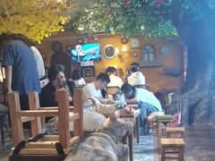 -猫猫幼稚园·撸猫·桌游·电玩