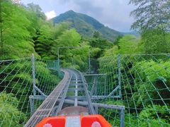 -藏龙百瀑风景区
