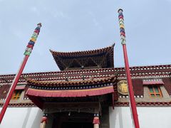 -塔尔寺-菩提树