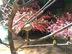 -酷嗒动物文化乐园(cutezoo西溪乐天城店)