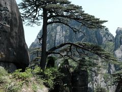 -黄山风景区