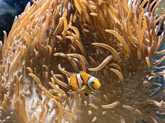 -太平洋海底世界