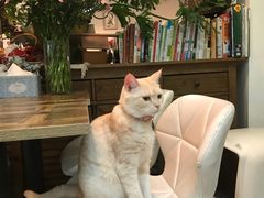 -小时光咖啡馆(北锣鼓巷店)