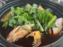 -老杨砂锅鱼庄