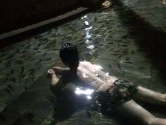 -三亚珠江南田温泉度假区