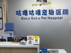 -咕噜咕噜宠物医院·CT·肿瘤科·骨科(前海院)