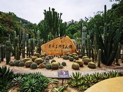 -深圳仙湖植物园