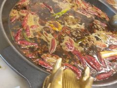 -黄潇洒老火锅(九眼桥宏济巷店)