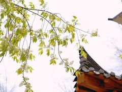 -长春净月潭风景名胜区
