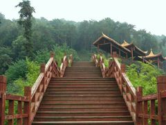 -铁山坪森林公园