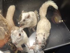 -太平洋海底世界