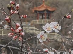 -百里山水画廊乌龙峡谷