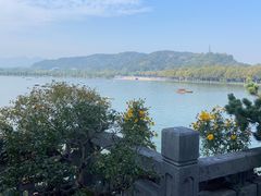 -湖畔居茶楼(湖滨店)
