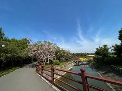 -东平国家森林公园
