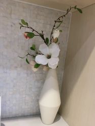 -美莱医疗美容医院
