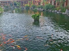 -大门水乡·顺德菜