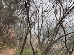-穹窿山景区