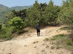 -大觉寺-停车场