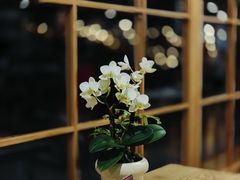-佛有缘素食馆·荔湾老字号(陈家祠首店)