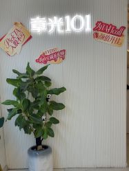 -章光101防脱养发荟