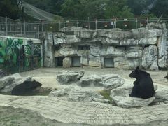 -黔灵山公园-南门售票处