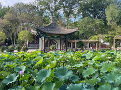 -莲湖公园