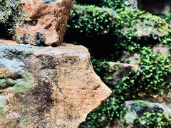 -湖洞水自然风景区