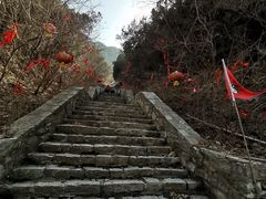 -泰和山景区