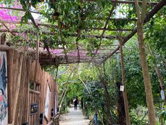 -呀路古热带植物园