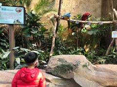 -杭州开元森泊度假乐园