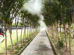 -武汉紫薇都市田园