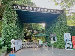 -华侨城湿地公园