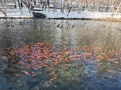 -水磨沟公园