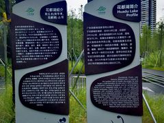 -广东花都湖国家湿地公园